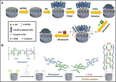 Ultrasound Reversible Response Nanocarrier Based on Sodium Alginate Modified Mesoporous Silica Nanoparticles